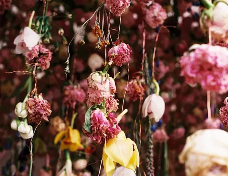 tecniche essicazione fiori