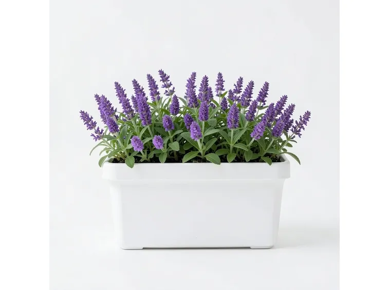 Fioriera pvc