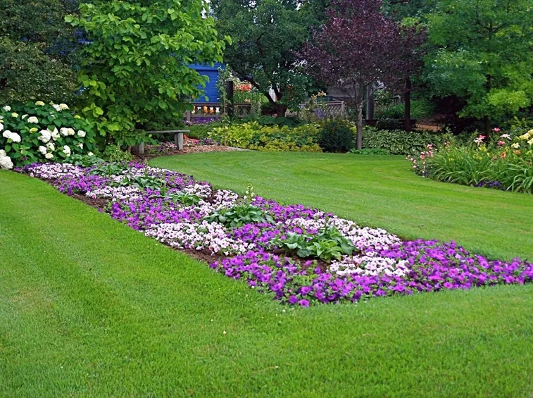 giardino fiorito