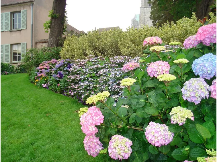 giardino