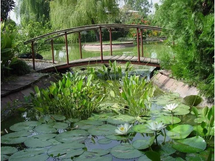 giardino d acqua