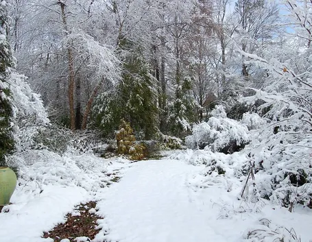 Giardini di inverno 