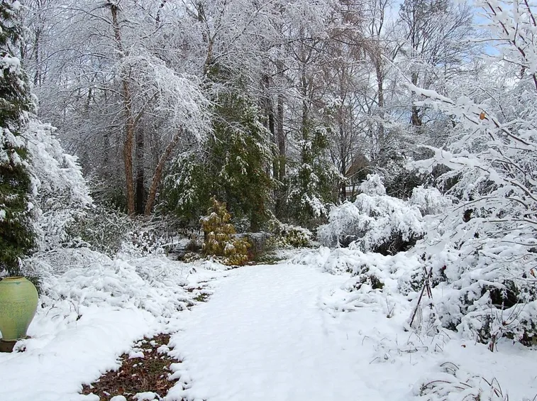 Giardini di inverno