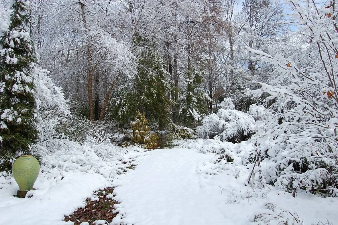 Giardini di inverno