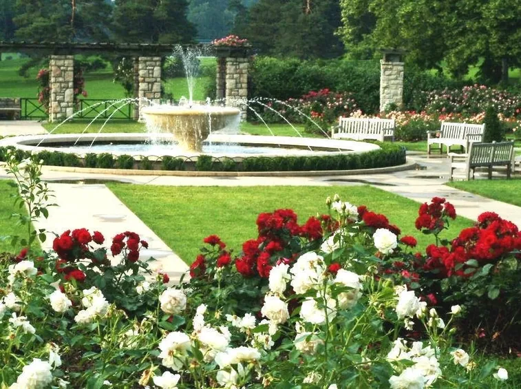 giardino