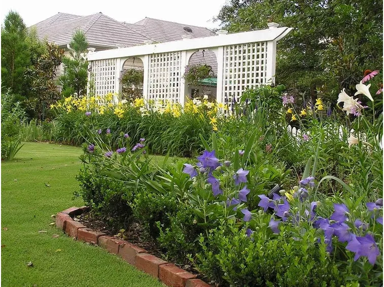 giardino