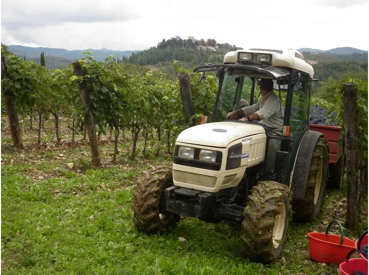 La gestione dei vigneti