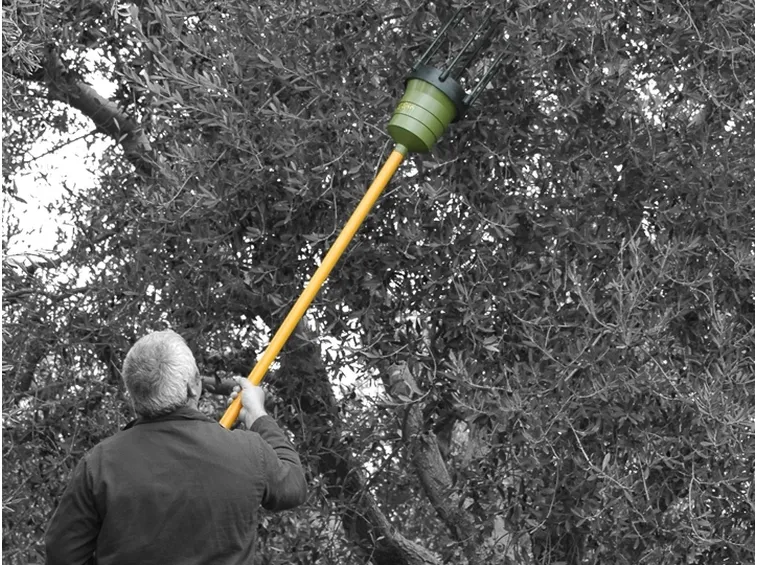 Lo sferzatore in azione