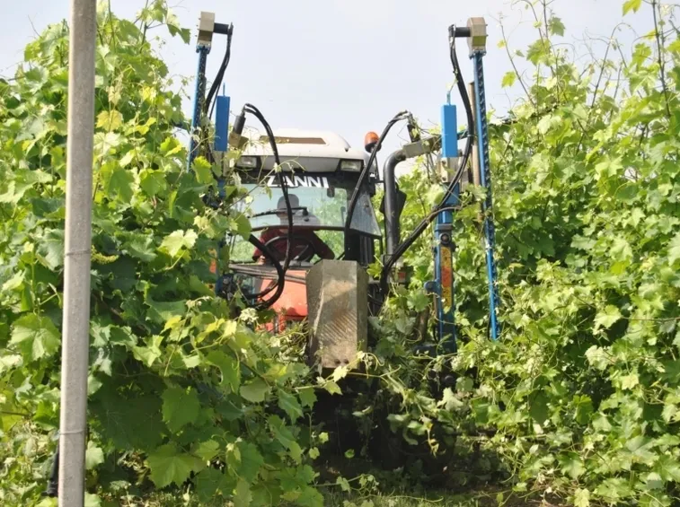 Spollonatrice in azione