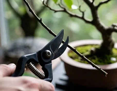 Lavori del mese bonsai