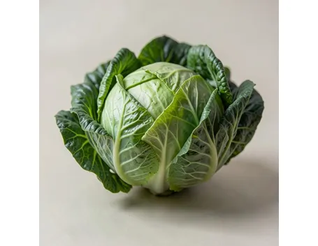 cavolo cappuccio
