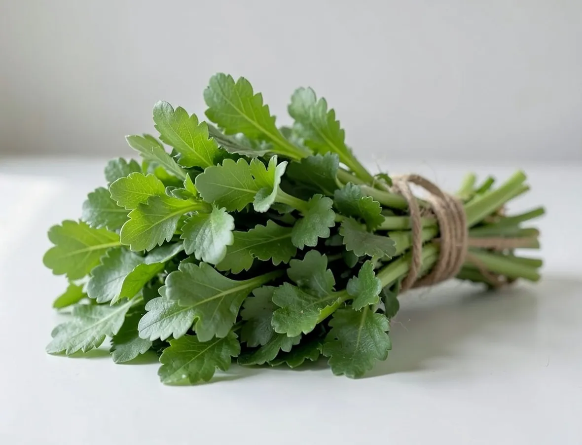 rucola
