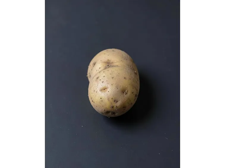 patata