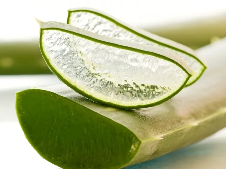 aloe gel