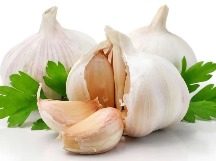 Aglio