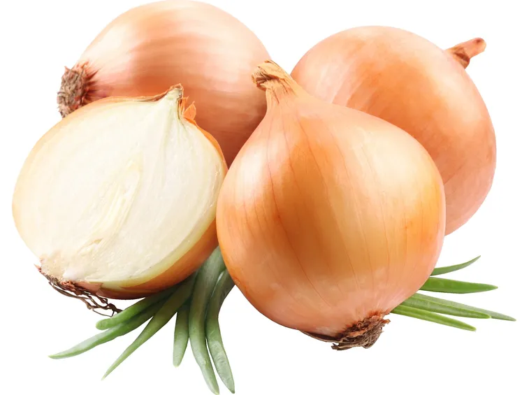 Cipolla segreta