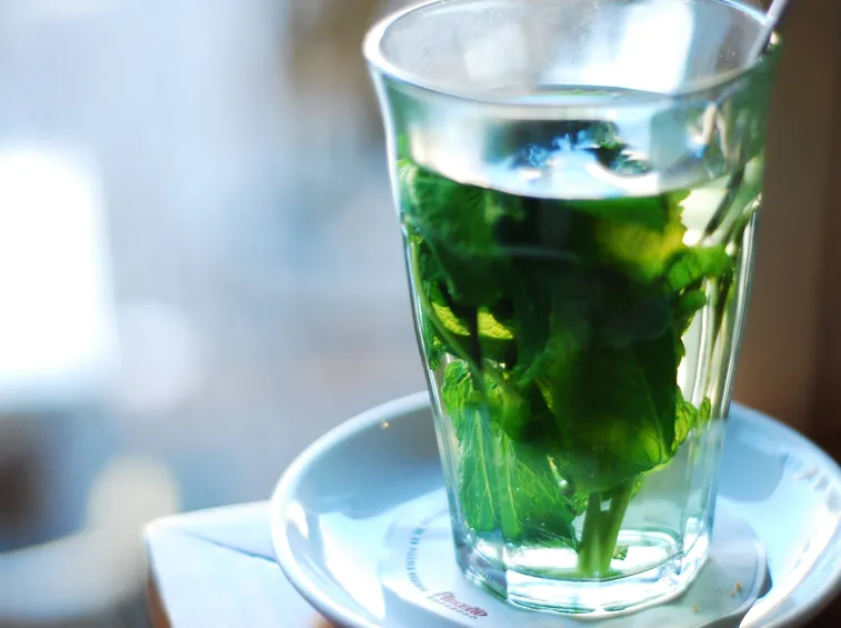 infuso menta