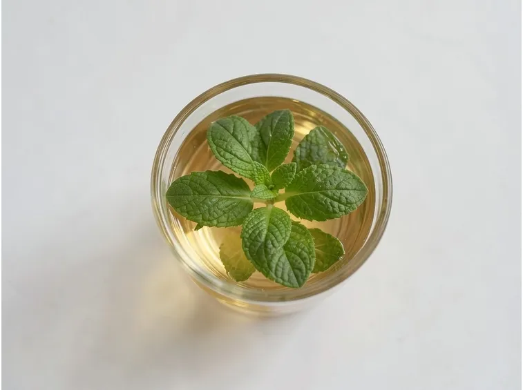 infuso menta