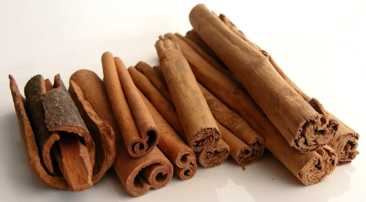 Cannella