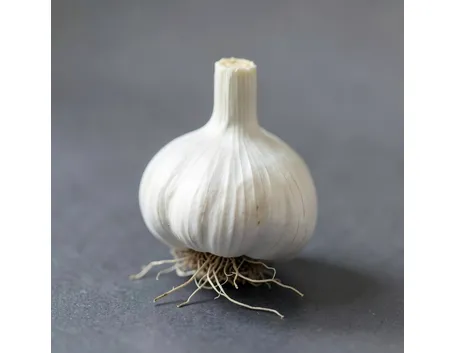aglio
