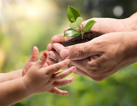 piante per bambini