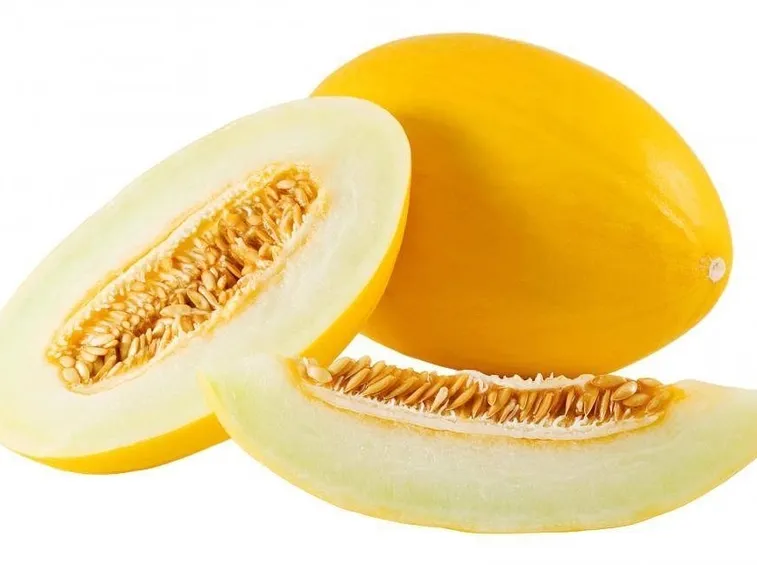 melone giallo