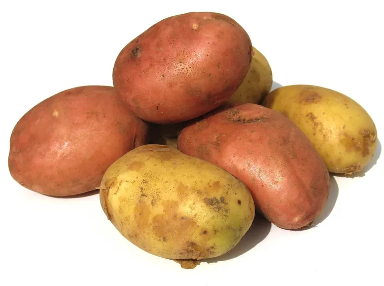 patate