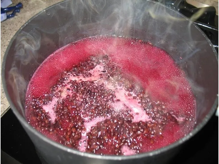 bollitura sambuco