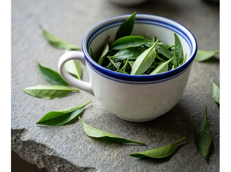 conservare tisane