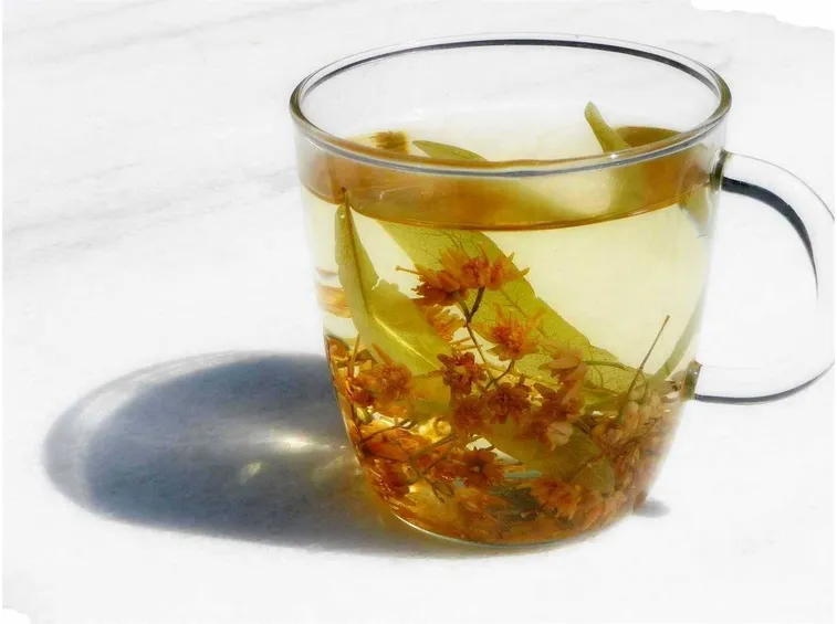 preparato tiglio tisana