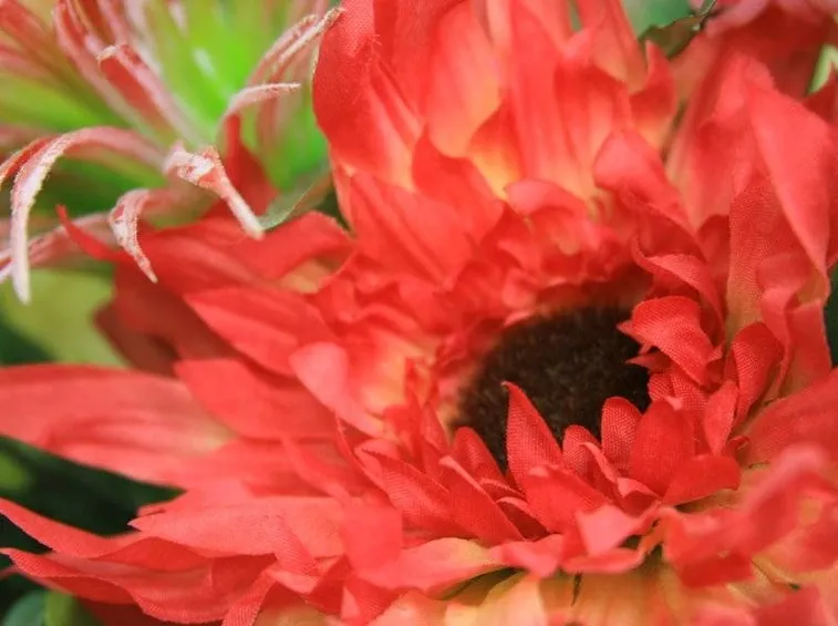 fiori finti