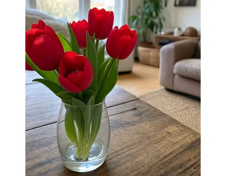 Tulipani