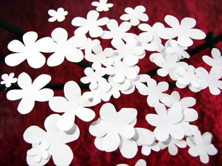 FIORI CARTA