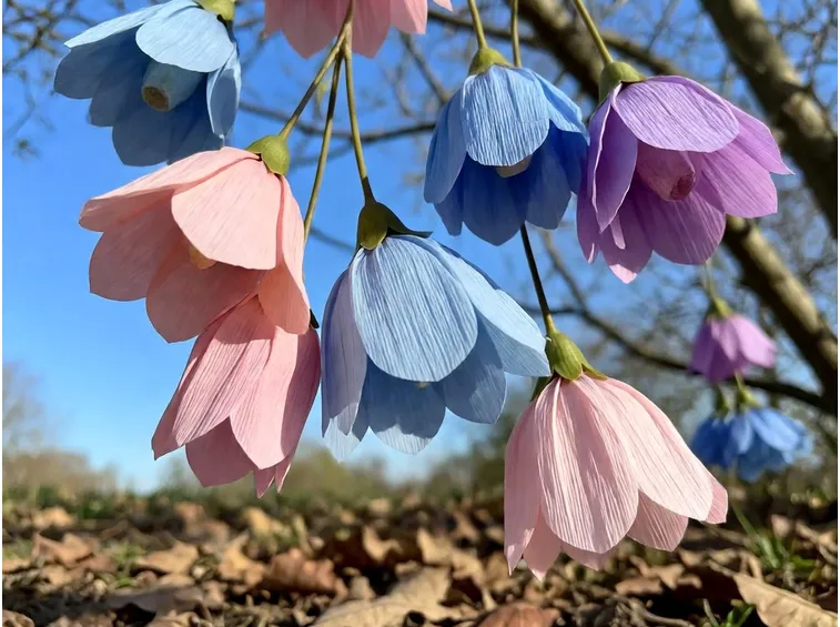fiori di carta
