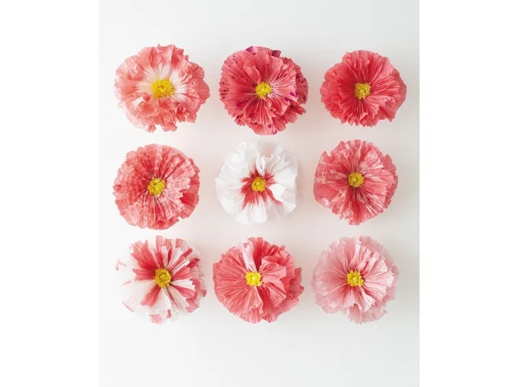 Fiori di carta