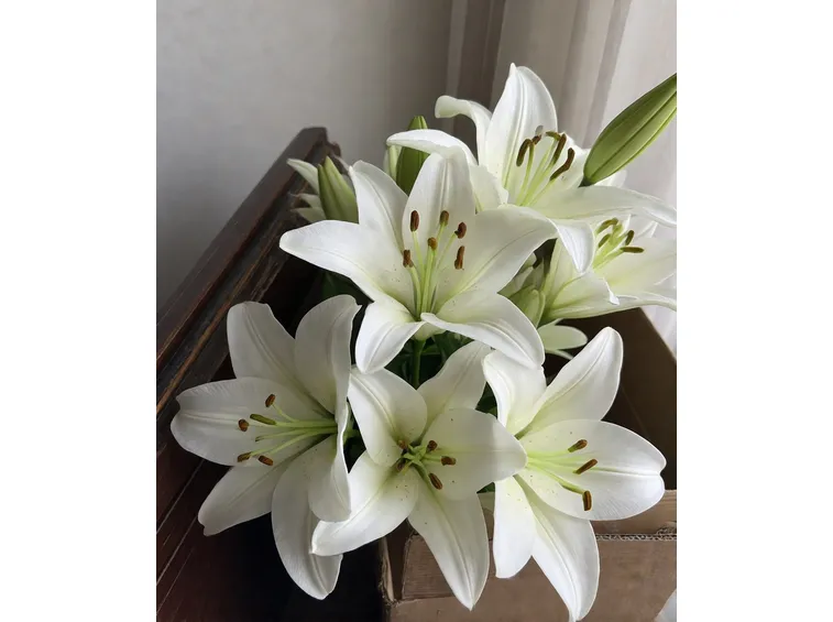 fiori chiesa