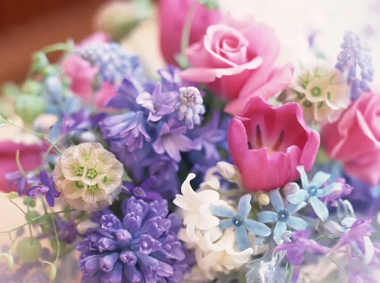 fiori