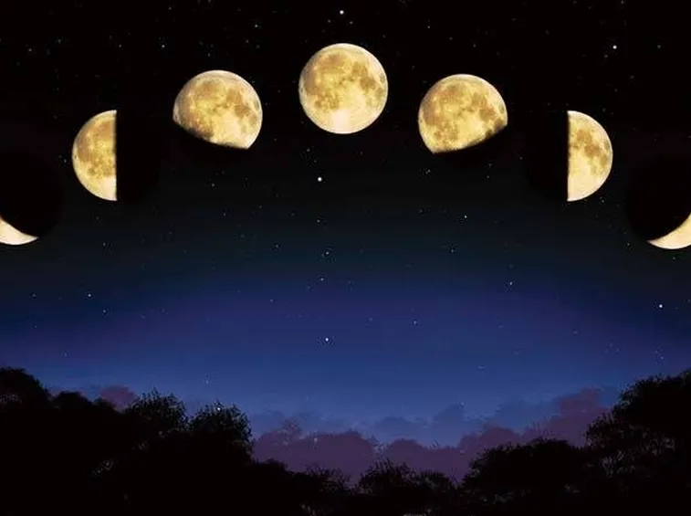 fiori, piante e Luna
