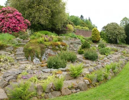 giardino roccioso
