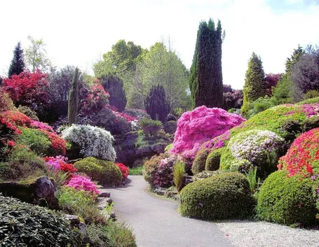 giardino