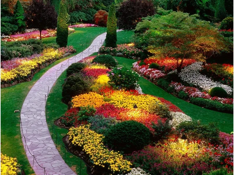 giardino