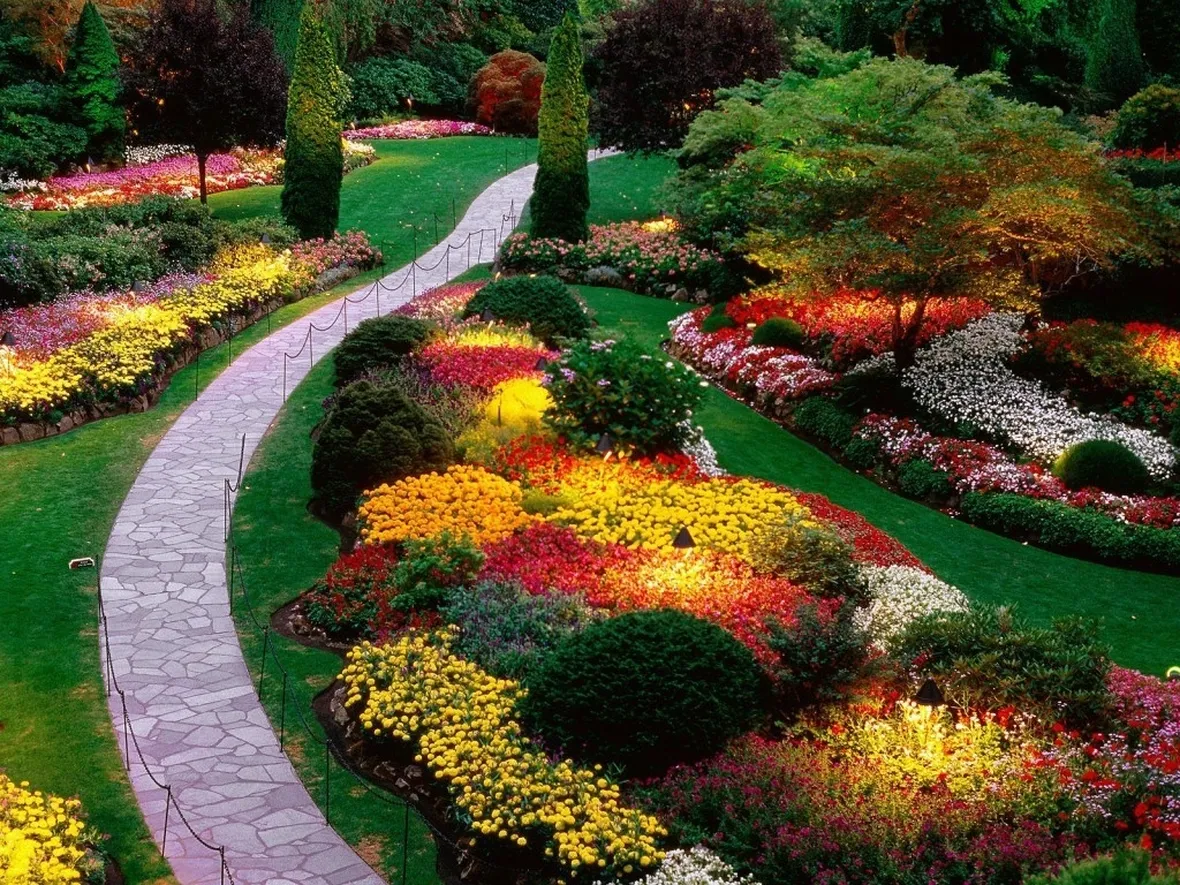 giardino