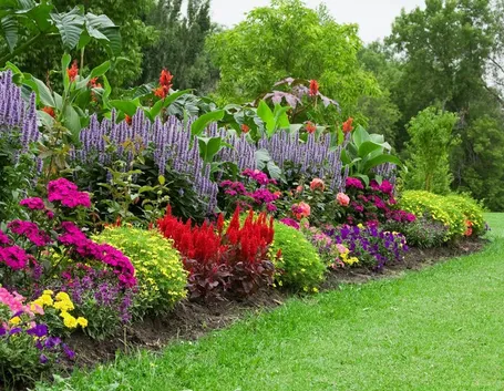 fiori giardino