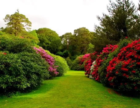 giardino in maggio