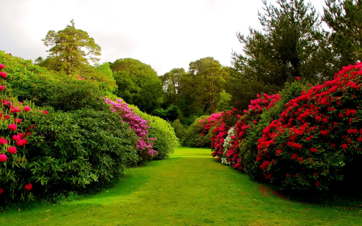 giardino in maggio