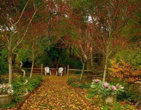 giardino novembre