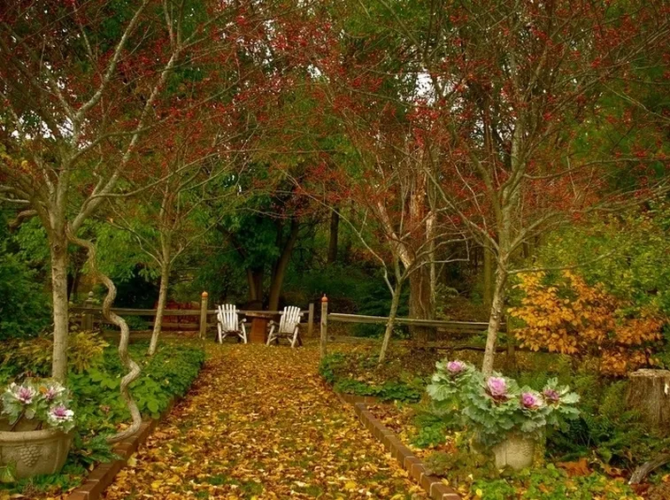 giardino novembre