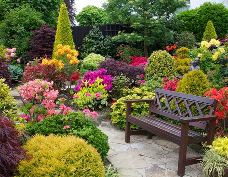 giardino giugno