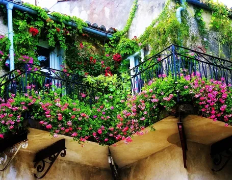 balcone maggio