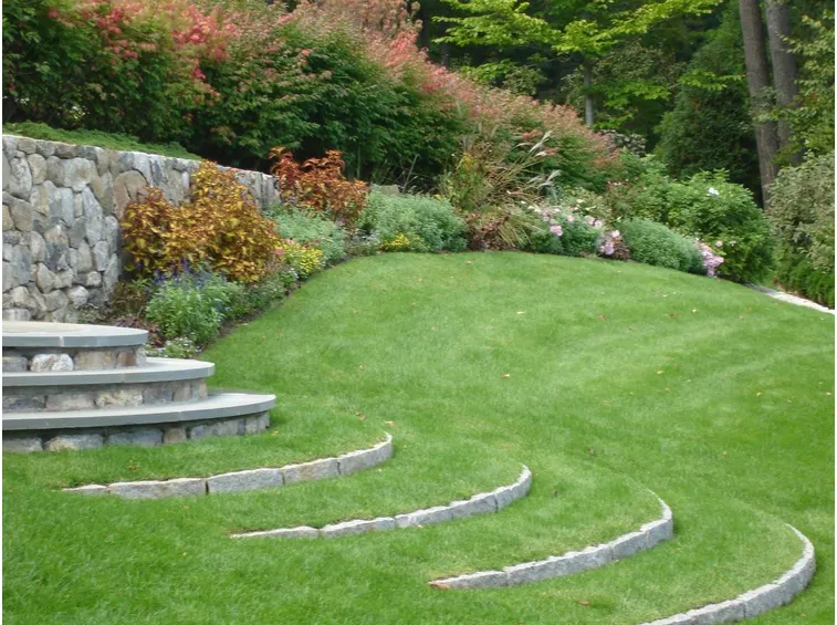 erba giardino